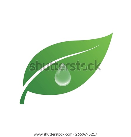 A single, fresh green leaf with a prominent vein and a clear dewdrop, symbolizing nature and purity.