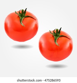 Single fresh tomato low and high resolution triangle mesh realistic vector eps10