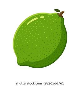 A single fresh whole lime fruit with textured green peel and a small stem shown in a flat vector illustration style