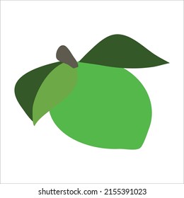 SINGLE FRUIT FOR DESIGN LIME