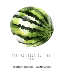 Single full watermelon watercolor painting isolated on white background