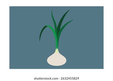 Single Garlic Plant with Tall Green Shoots