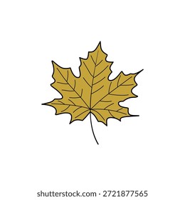 Single golden maple leaf illustration. Simple, clean design on white background. Autumnal, seasonal, and natural element. Ideal for fall themes and minimalist designs.