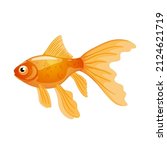 Single goldfish isolated on white background.Vector illustration of aquarium fish in realistic style.