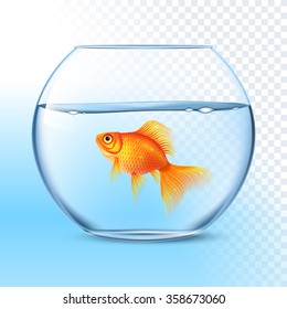 Single goldfish swimming in transparent round glass bowl aquarium realistic image print vector illustration 