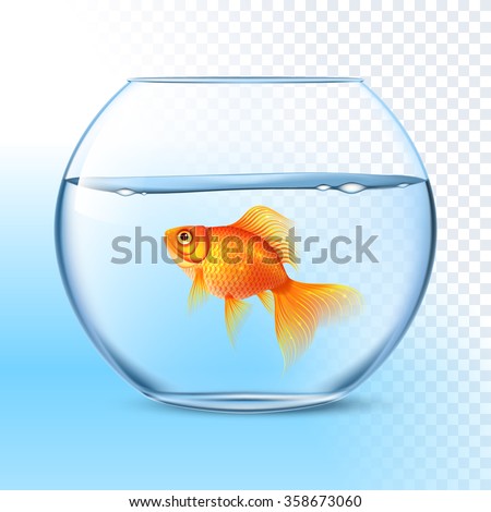 Single goldfish swimming in transparent round glass bowl aquarium realistic image print vector illustration 