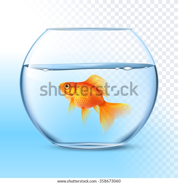 Single\
goldfish swimming in transparent round glass bowl aquarium\
realistic image print vector illustration\
