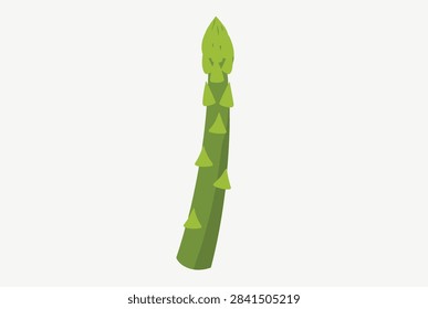 Single green asparagus stalk shown vertically with detailed tips and scales isolated on a plain white background in a simple flat style.