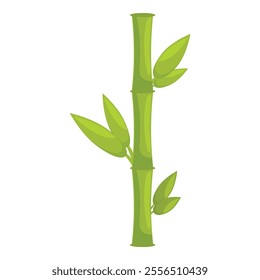 Single green bamboo stalk growing vertically with leaves, isolated on white background