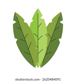 Single green banana leaf in clean vector form conveys freshness, tropical nature, and eco-living. Ideal for summer themes, organic branding, or botanical design content.