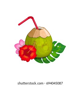 Single green coconut with a straw to drink, with a red hibiscus, pink plumeria and palm leaf on white background, colorful vector illustration