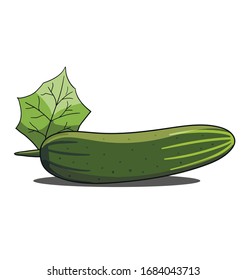 Single green cucumber isolated on white background