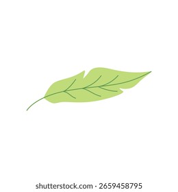single green leaf cartoon design element