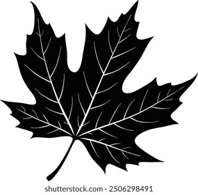 Single green leaf with detailed veins and vibrant natural texture