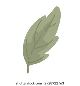 Ilustração vetorial de folha verde única. Elemento botânico de floresta simples em cores pastel isolado no fundo branco.