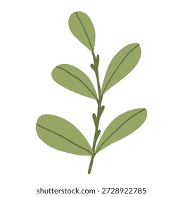 Ilustração vetorial de folha verde única. Elemento botânico de floresta simples em cores pastel isolado no fundo branco.