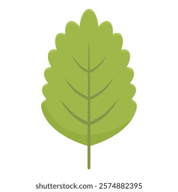 Single green leaf with veins is attached to a stem