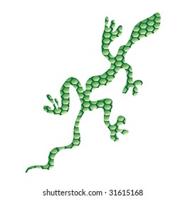 single green lizard, vector illustration