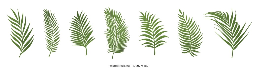 ilustração de folha de palmeira verde única na natureza tropical plana 