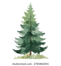 A single green pine tree standing tall