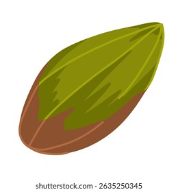 Single green pistachio without shell. Vector hand drawn food illustration. For healthy product packaging, menu visuals, nutrition apps, organic branding, snack graphics