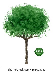 Single green tree isolated on white background. Vector illustration