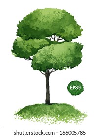 Single green tree isolated on white background. Vector illustration