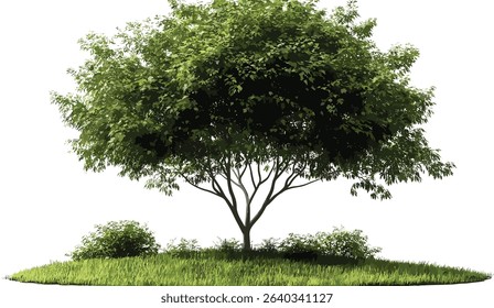 Single green tree shape vector, isolated on grass, transparent background, nature, fresh greenery, environmental symbol, tree on grass, nature illustration, eco friendly, green outdoors