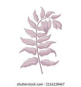 Una sola rama gris con hojas. Las hojas aisladas en el fondo blanco. Ilustración botánica dibujada a mano. Arte vectorial botánico al estilo de las caricaturas.