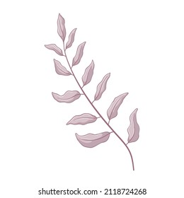 Una sola rama gris con hojas. Las hojas aisladas en el fondo blanco. Ilustración botánica dibujada a mano. Arte vectorial botánico al estilo de las caricaturas.