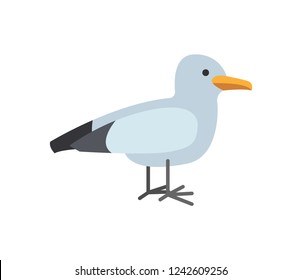 Single grey seagull isolated on white. Stylized nautical animal emblem. Standing little bird with black and white plumage vector in flat style illustration