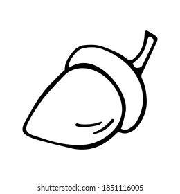 Bellota dibujada a mano única para la decoración de otoño. Ilustración del vector Doodle. Aislado sobre fondo blanco