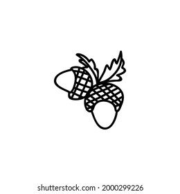 Bellotas dibujadas a mano única para la decoración de otoño. Ilustración vectorial en estilo doodle. Aislado sobre un fondo blanco.