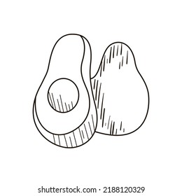 Single hand drawn avocado. Doodle vector illustration. Isolated on white background.