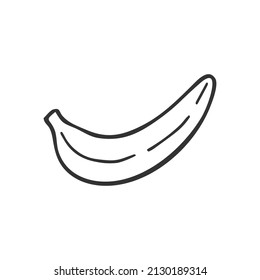Single hand drawn banana. In doodle style, black outline isolated on white background. Cute element for card, social media banner, sticker, print, decoration kids playroom. Vector illustration.