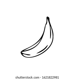 Single hand drawn banana isolated on a white background. Doodle, simple outline illustration.