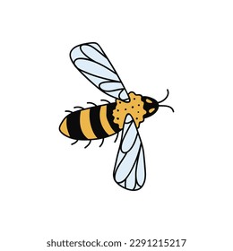 Single hand drawn bee. Doodle vector illustration. Isolated on a white background. Clip art