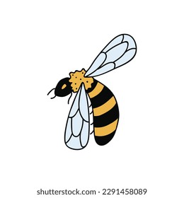 Single hand drawn bee. Doodle vector illustration. Isolated on a white background. Clip art