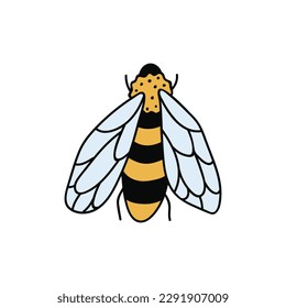 Single hand drawn bee. Doodle vector illustration. Isolated on a white background. Clip art
