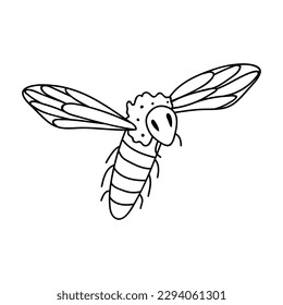 Abeja dibujada a mano única. Ilustración del vector Doodle. Aislado sobre un fondo blanco.