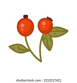 Bayas dibujadas a mano única. Ilustración vectorial clipart de estilo acogedor. Elemento personalizado para tarjetas de felicitación, carteles, pegatinas y diseño estacional. Aislado sobre fondo blanco.