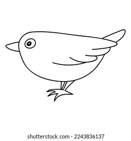 Single hand drawn bird. Doodle vector illustration. Isolated on a white background.