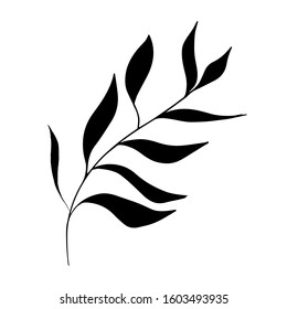Single hand drawn black leaf on the white  background. Vector silhouette illustration Isolated . Modern  Design Botanical element for invitations, wedding greeting cards, announcements. Herbs.