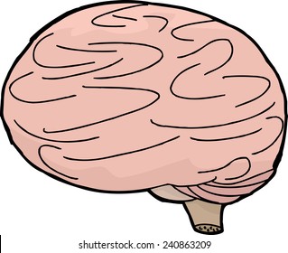 Single hand drawn brain over isolated background