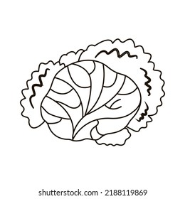 Single Hand Drawn Cabbage. Doodle Vector Illustration. Isolated On White Background.