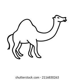 Single hand drawn camel. Doodle vector illustration. Isolate on a white background. 