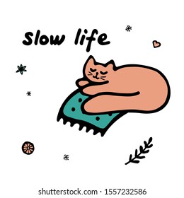 Single hand drawn card. The cat that lies on the plaid. Slow life phrase.