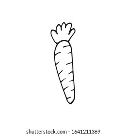 Single hand drawn carrot for easter design, greeting cards, posters, recipe, culinary design. Isolated on white background. Doodle vector illustration. Hand drawn element.