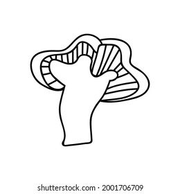 Single hand drawn chanterelle mushroom for autumn decoration. Doodle vector illustration. Isolated on a white background.