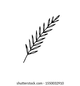 Single hand drawn christmas branch. Vector illustration for greeting cards, invitations, stickers, posters and icon design.